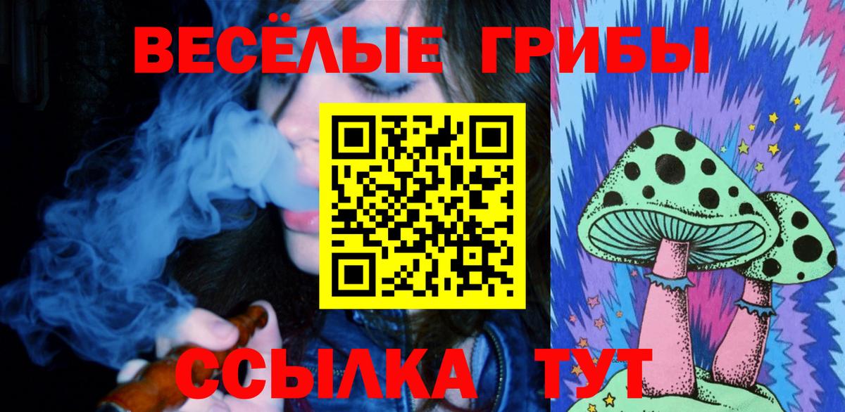 Галлюциногенные грибы мицелий Балаково