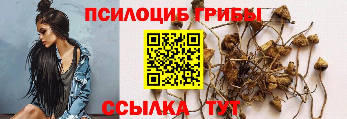 Балаково  Галлюциногенные грибы GOLDEN TEACHER  Вход с VPN  Галлюциногенные грибы ЛСД 