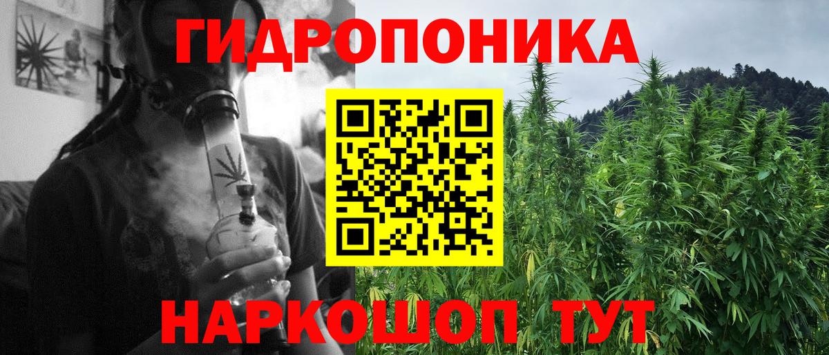 Марихуана план Балаково